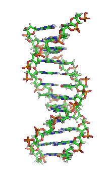 Inactivation of Viruses